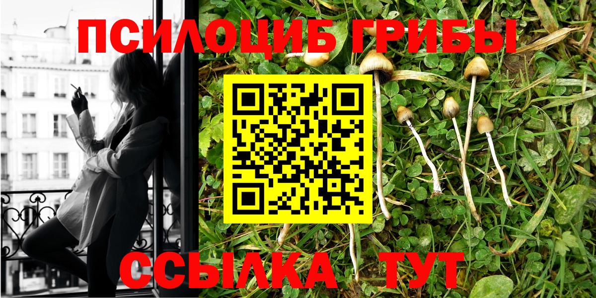 Галлюциногенные грибы GOLDEN TEACHER  Вход с VPN  Галлюциногенные грибы Psilocybine cubensis  Кимры 