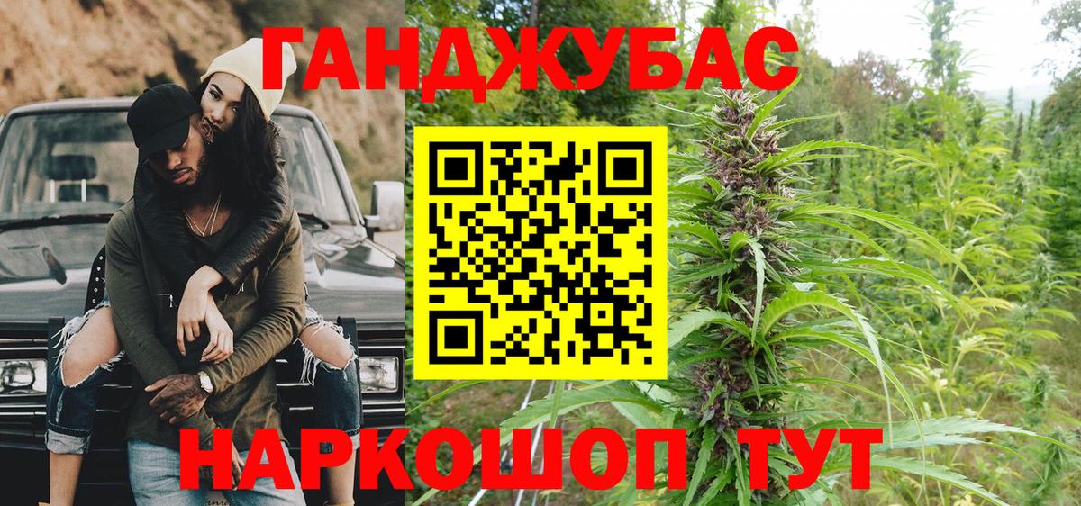 Канабис гибрид Кимры